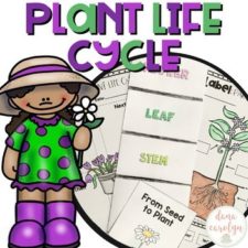 Plant Life Cycle Pack
